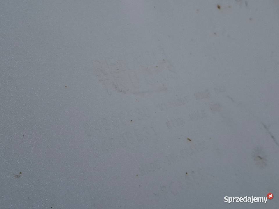 RENAULT RANGE T GAMA STOPIEŃ DOLNY PRAWY Bieleń