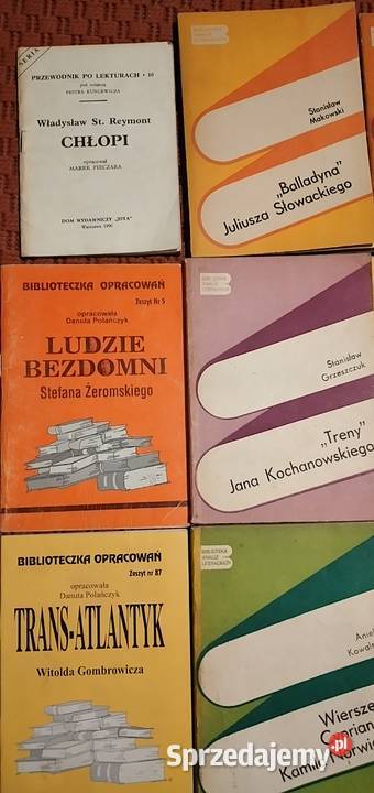 opracowania lektur szkolnych małopolskie Bukowno