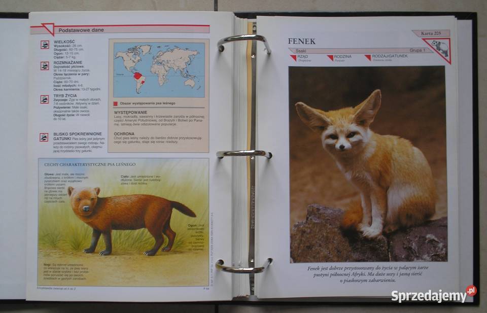 Encyklopedia zwierząt A do Z Kompendium 2 małopolskie Kraków sprzedam