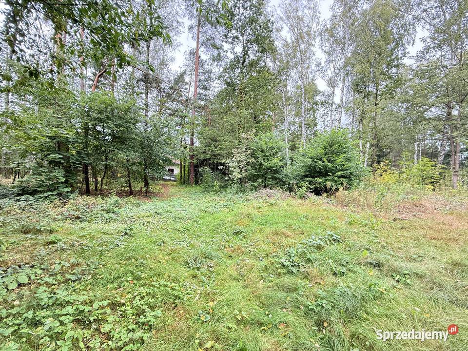 Działka budowlana w Rosanowie wz pozwolenie na Rosanów