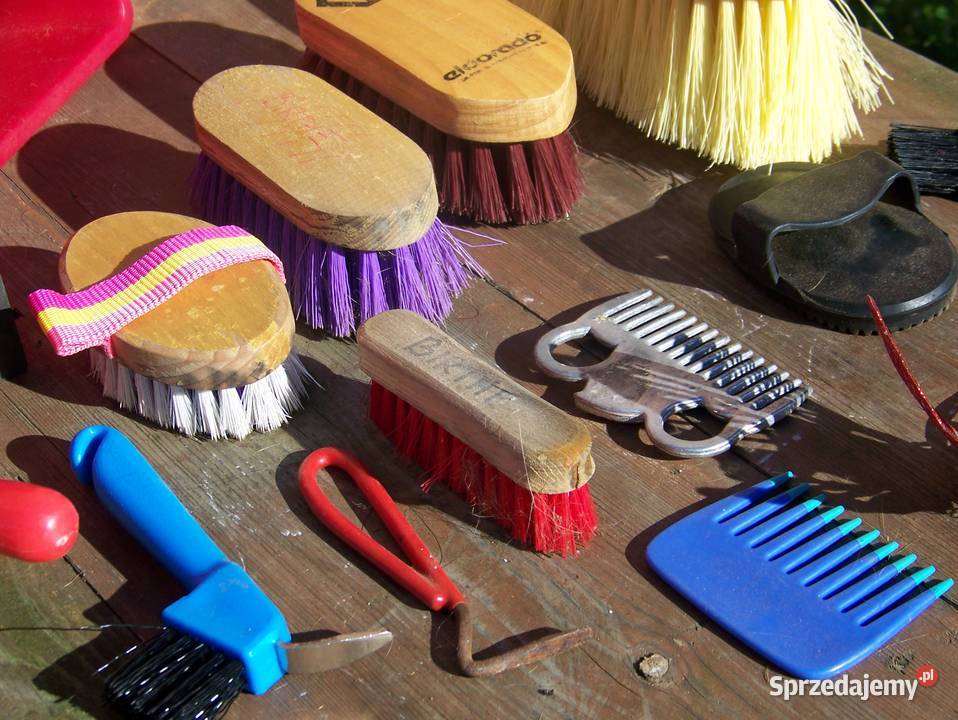 szczotki konia Konie Dargikowo