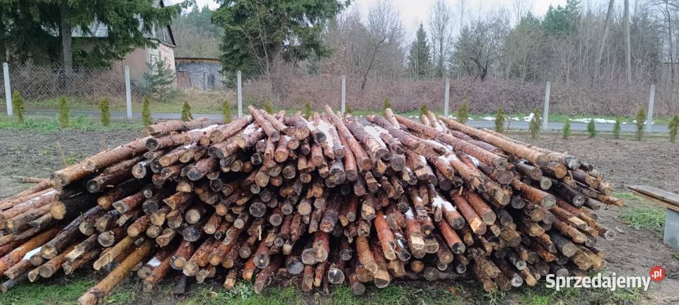 Stemple budowlane drewniane Wolanów