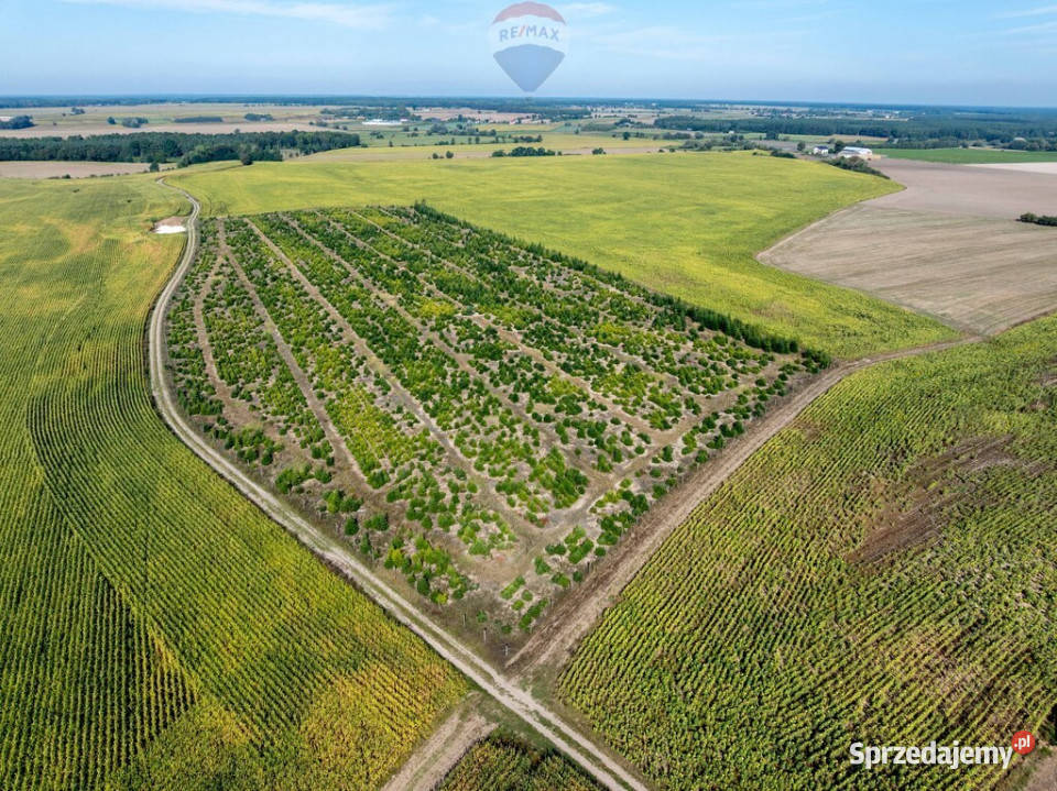 Inwestycyjna rolna działka Łubowice obok wielkopolskie