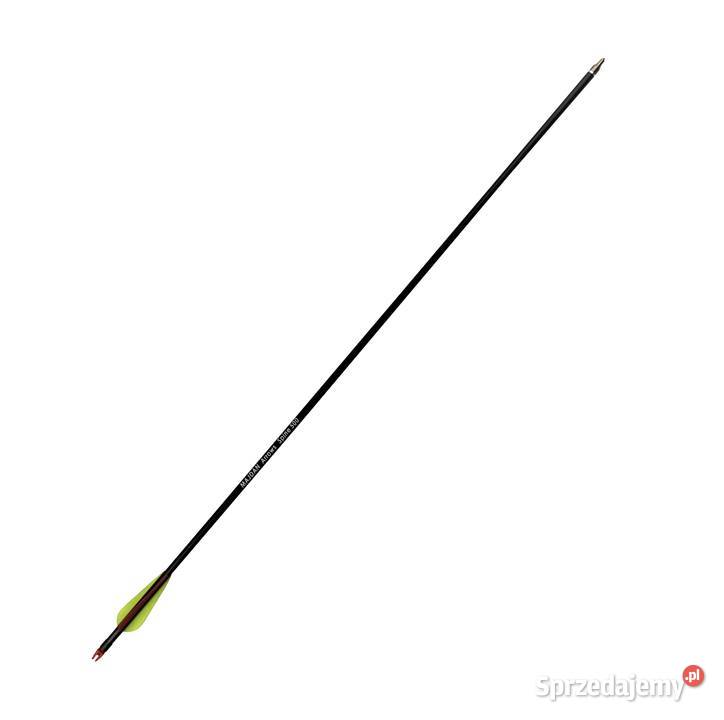 Strzały do łuku wykręcane groty strzała 10 sztuk