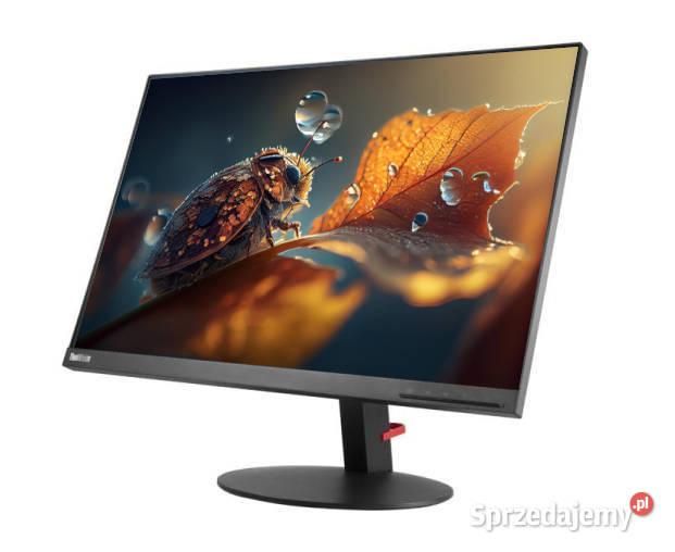 Monitor Lenovo Thinkvision T24D10 24 Ips Wuxga Pyskowice