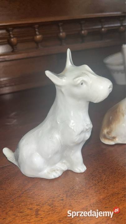 Piesek Figurka porcelanowa Śliczna figurka bez Gdańsk
