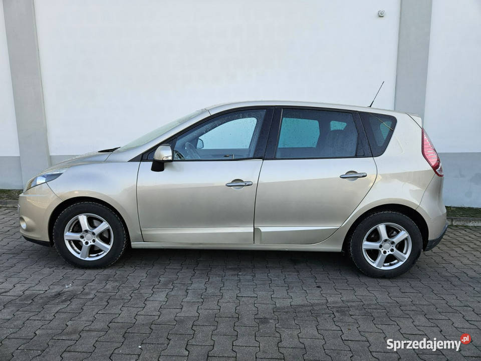 Renault Scenic Nawigacja Skórz tapicerka III Scenic Rybnik