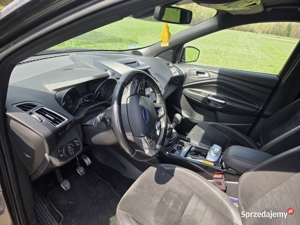 Ford kuga Motoryzacja Rogi