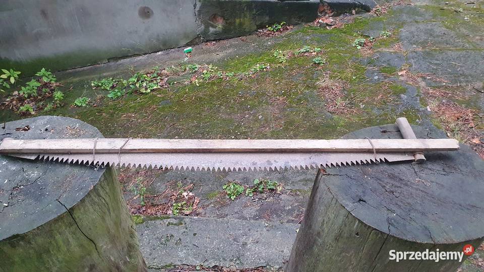 Piła stara długa dwuręczna dwuosobowa stara sprzedam