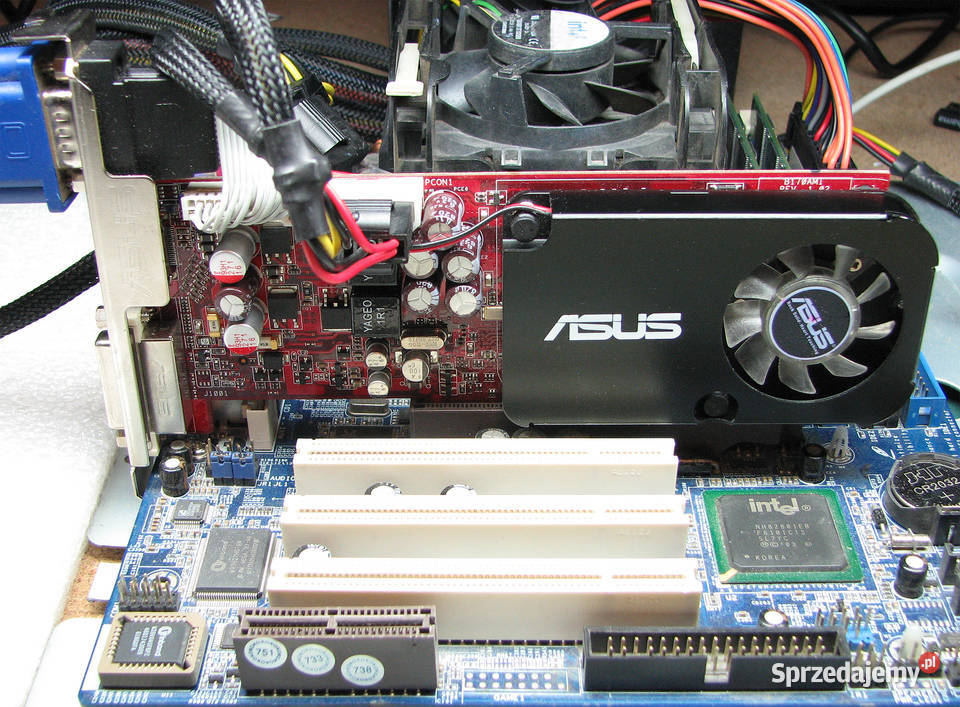 ASUS ATI Radeon HD3450 512MB 64bit DDR2 DSUB DVI Asus łódzkie Cielądz