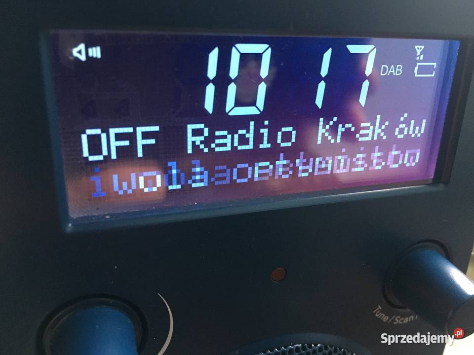 Tivoli Audio PAL bt radio bluetooth stan w pełni Kraków sprzedam