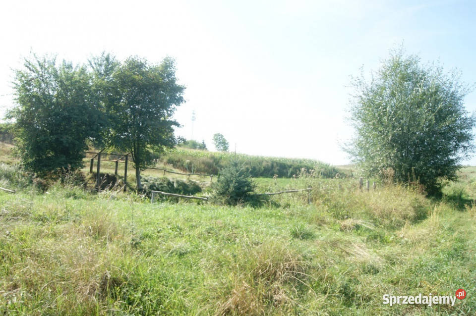 Działki budowlane w Starych Bogaczowicach Stare Bogaczowice sprzedam