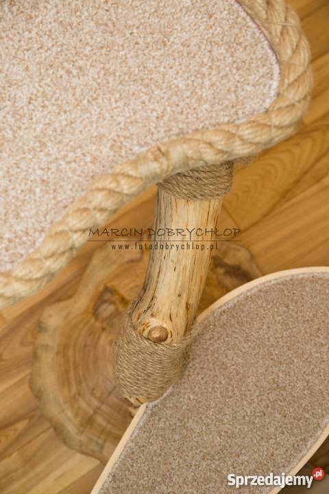 DRAPAK kota NATURALNY wielkopolskie Poznań