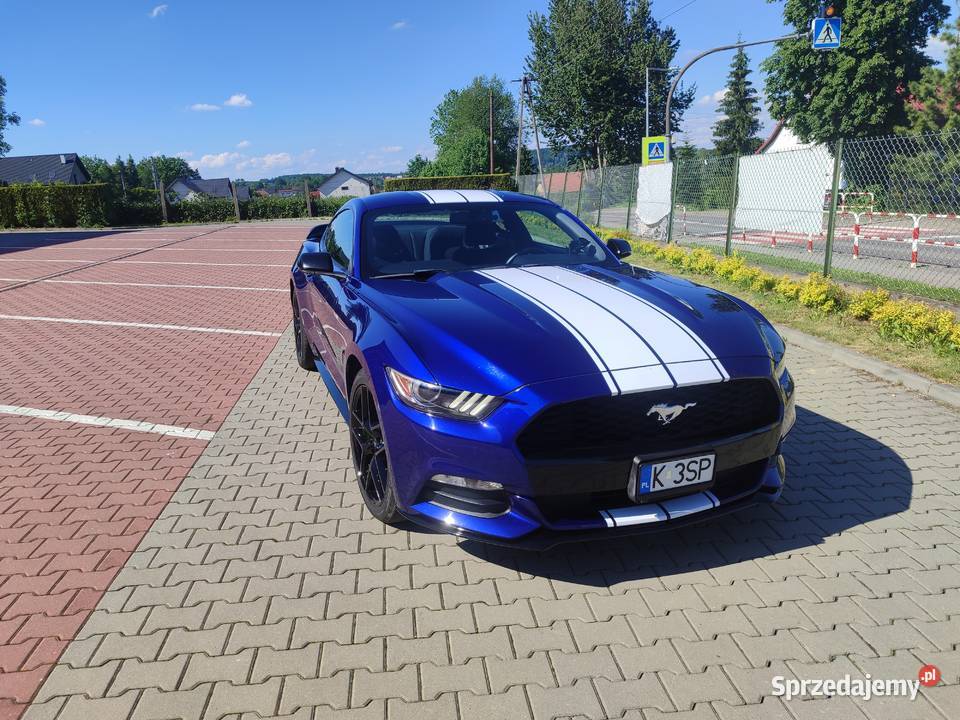 Ford Mustang garażowany serwisowany zadbany Mustang Kalwaria Zebrzydowska