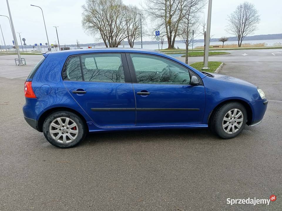 Volkswagen Golf V 16 MPI Benzyna Rok produkcji 2004