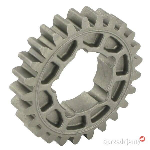 Zębatka SA37217 małopolskie Kamionna