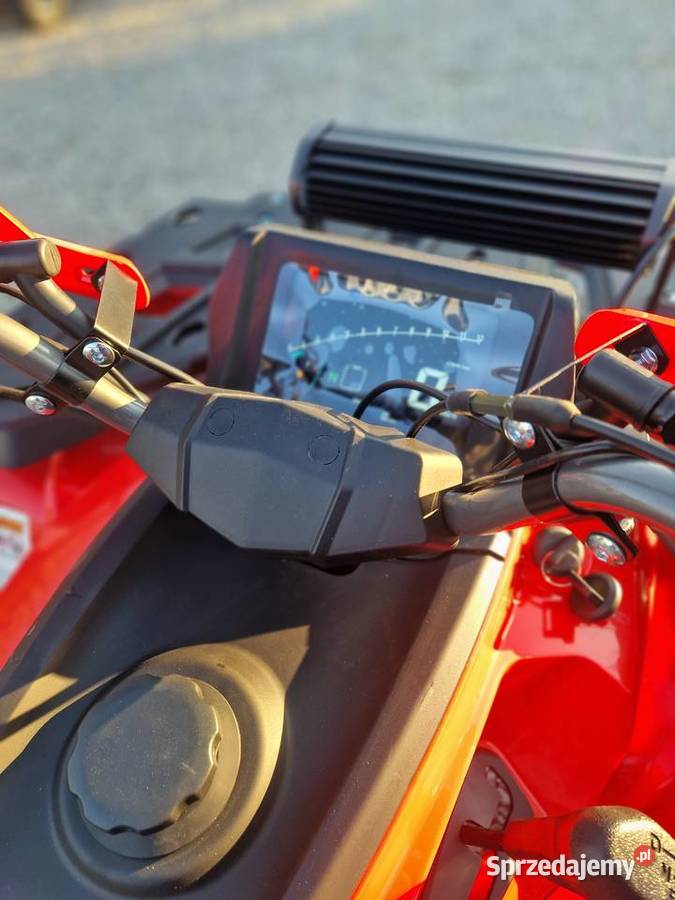 Quad Diabolini Hammer 300PRO XL 200cc chłodzony Świerchowa