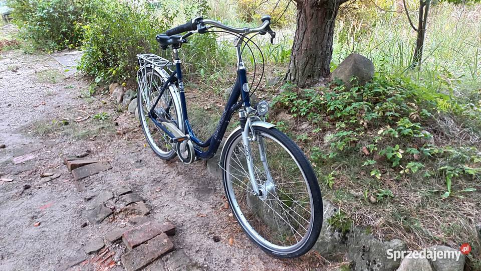 Alu Rower Miejski Damski Łabędź Niska Rama dolnośląskie Wołów