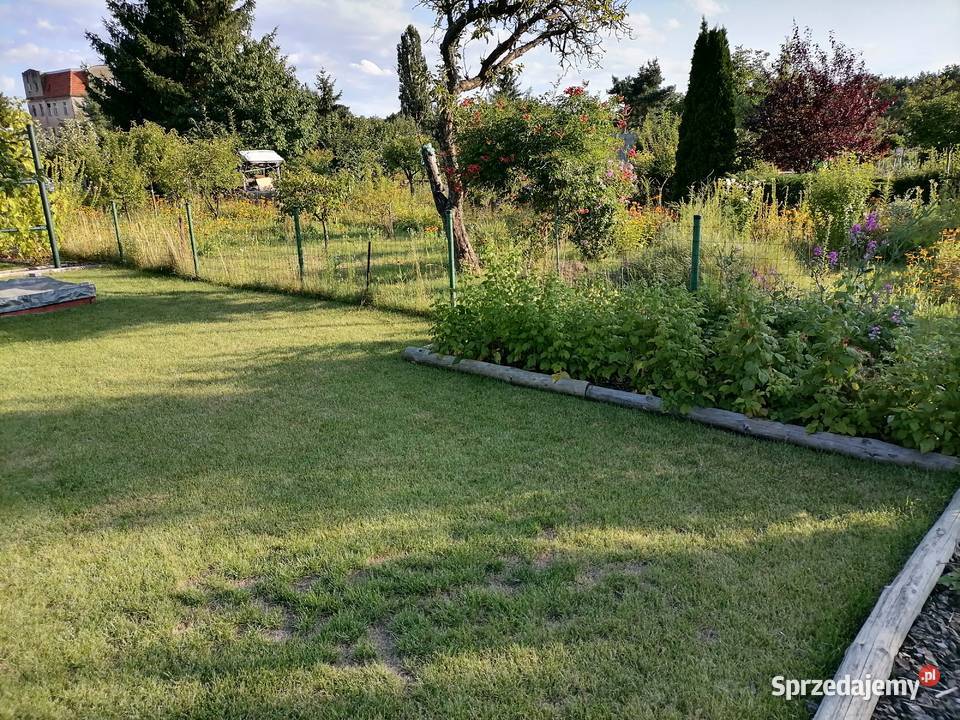 Działka ROD Fiołek 480m2 Wrocław