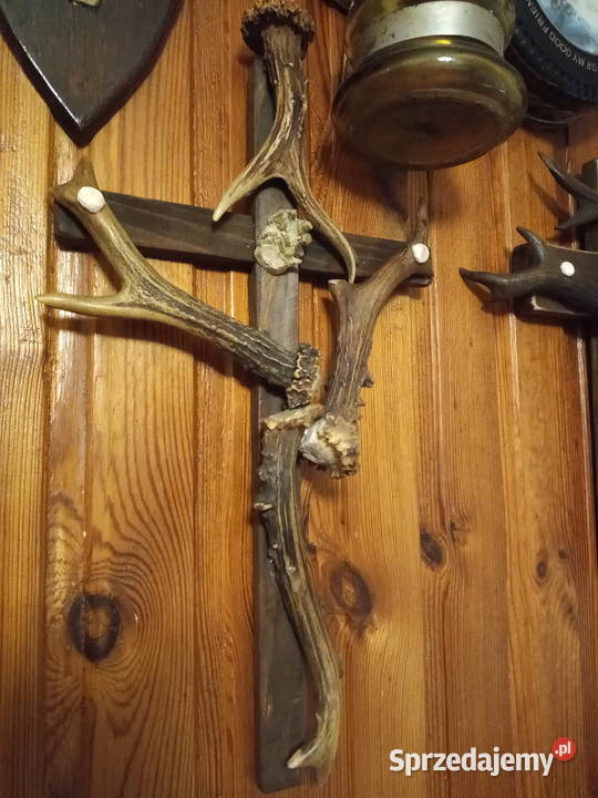 Krzyż z poroża podkarpackie Leżajsk