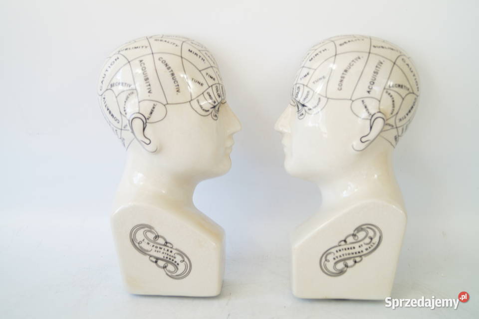 Dwie głowy medyczne porcelanowa PHERNOLOGY wielkopolskie Gizałki