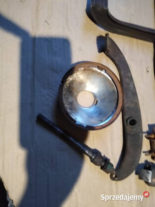 Żak ryś komar Pedał owiec pozostałość Kruszwica