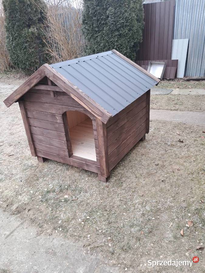 Buda psa Duża Zwierzyniec