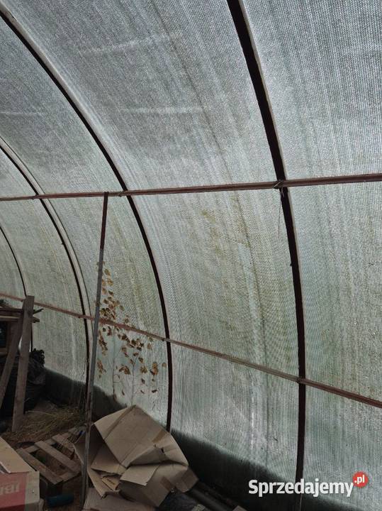 Sprzedam tunel foliowy Lubasz