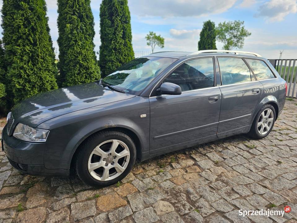 AUDI A4 B6 AVANT nieuszkodzony Międzychód