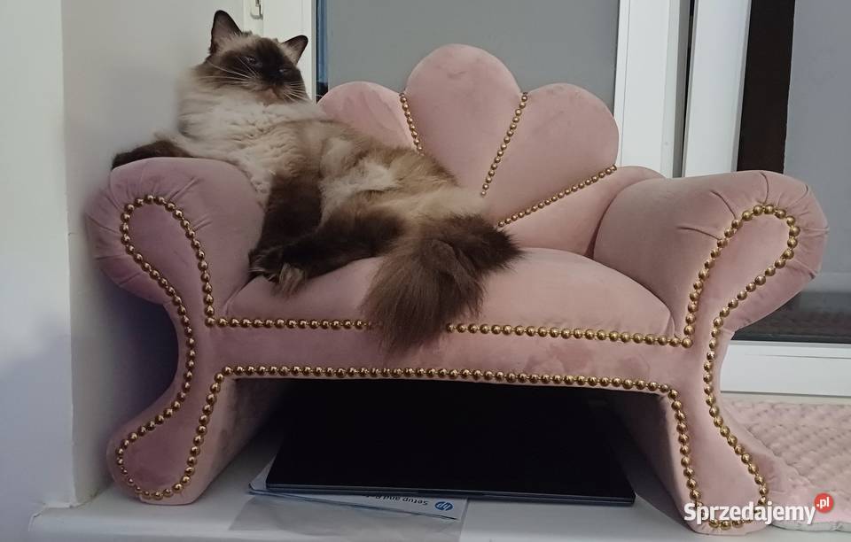 Legowisko fotel psa kota 100 kolorów Warszawa