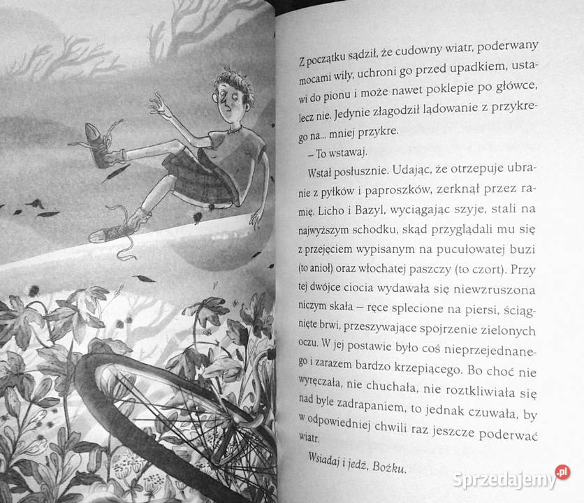 Małe Licho i tajemnica Niebożątka Marta Kisiel miękka Chełm