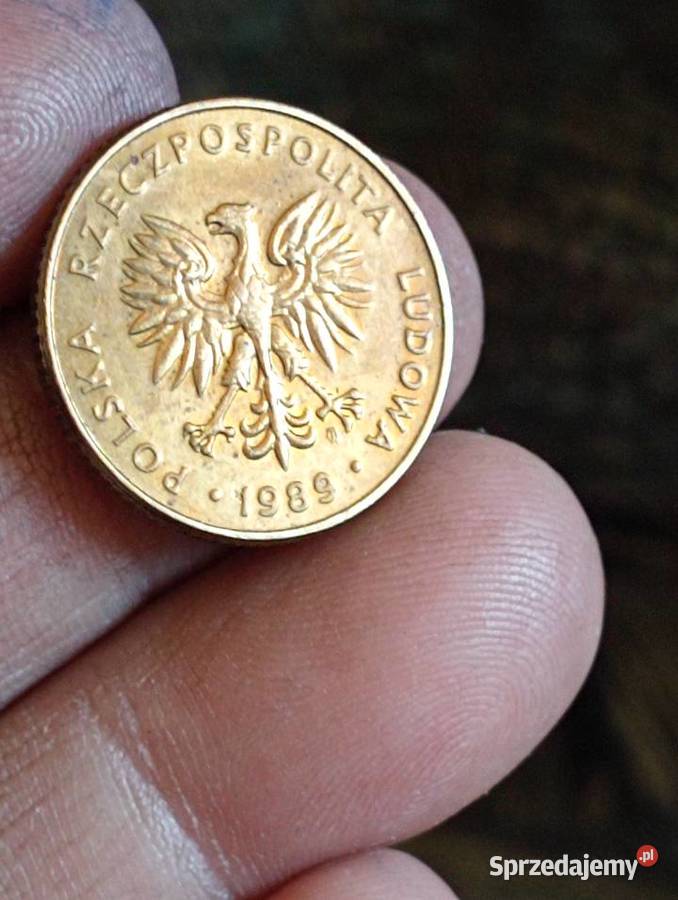 Sprzedam monete 10 zloty 1989r proba Chełm sprzedam