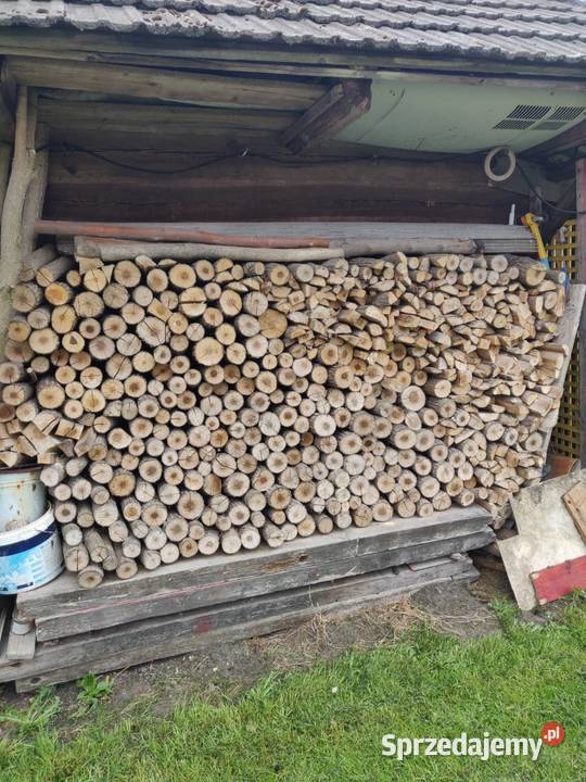 Sprzedam drzewo liściaste 3 m sześcienne Dom i Ogród Białystok