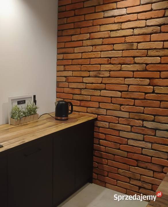 Stare cegły lico cegły płytki ceglane dekor Poznań