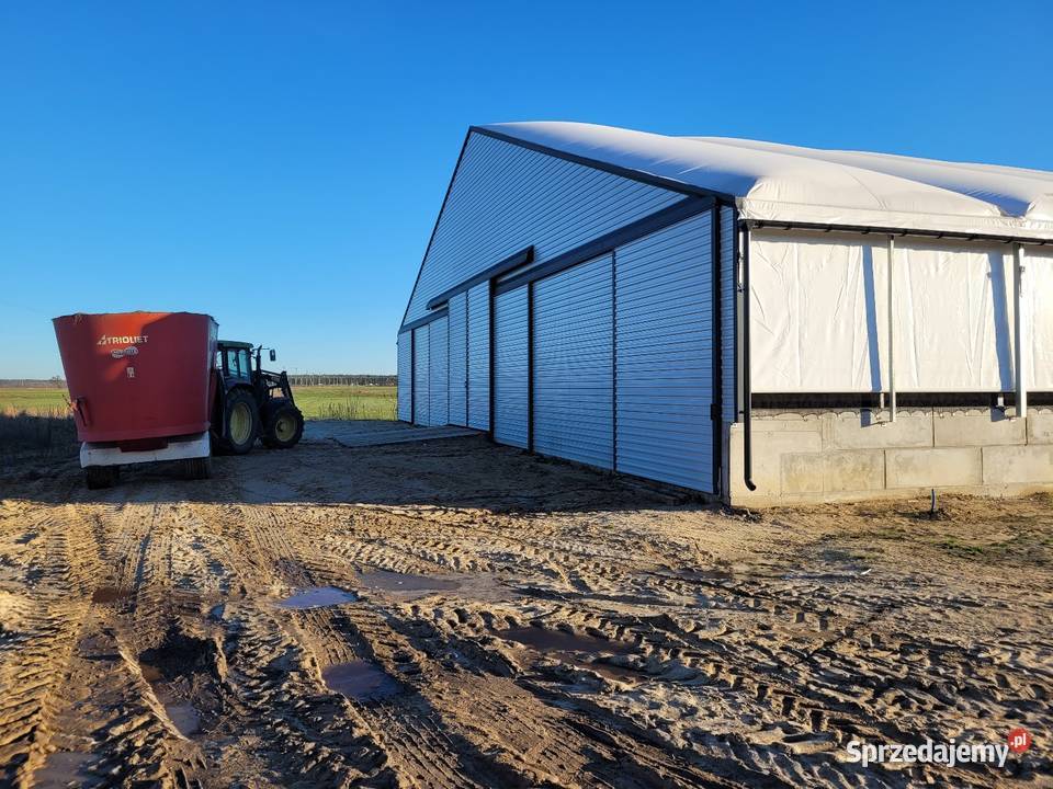 Hala namiotowa jałownik