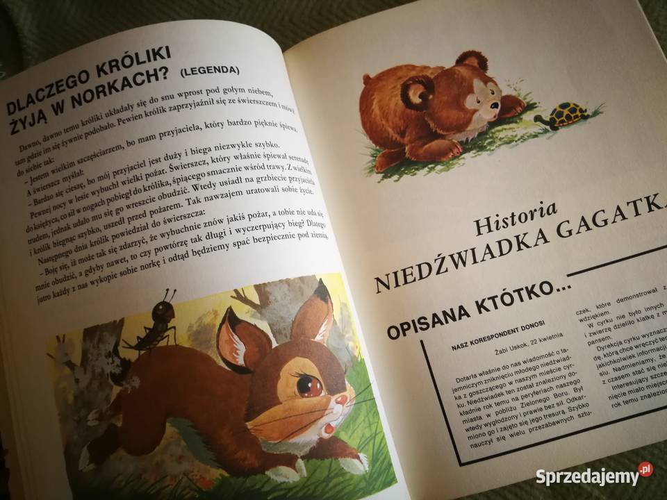 Książka Bajki bajki i jeszcze kilka bajek PRL zachodniopomorskie