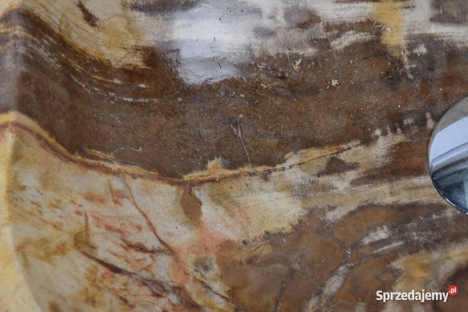 Fossil Wood SMALL KD2 kamienna umywalka pomorskie Gdynia