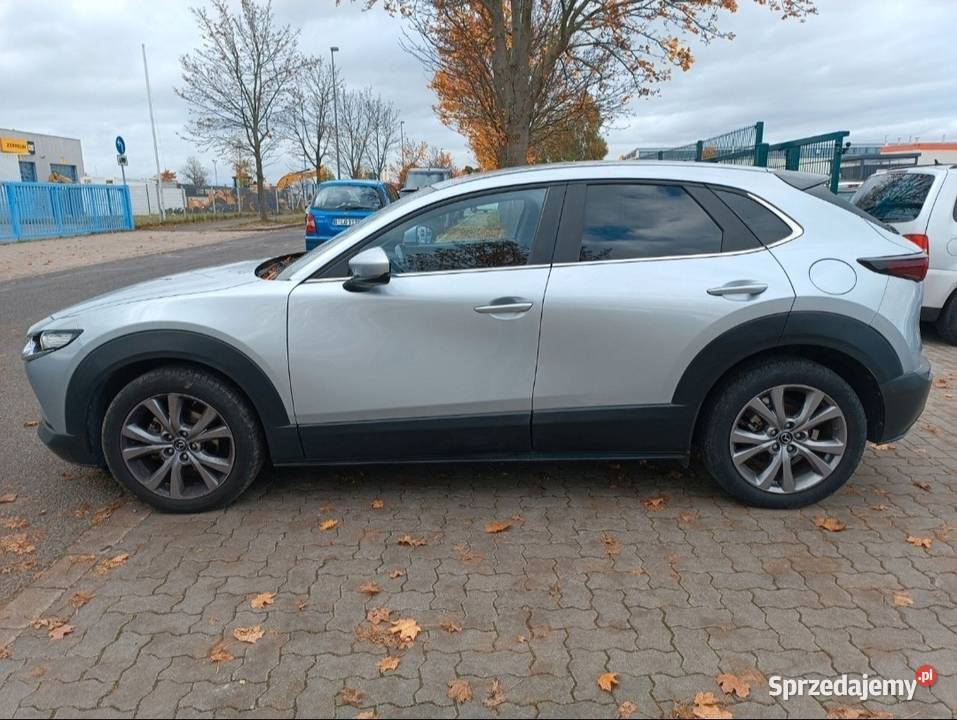 CX30 MHybrid 20 150 Automatic Strzelce Opolskie