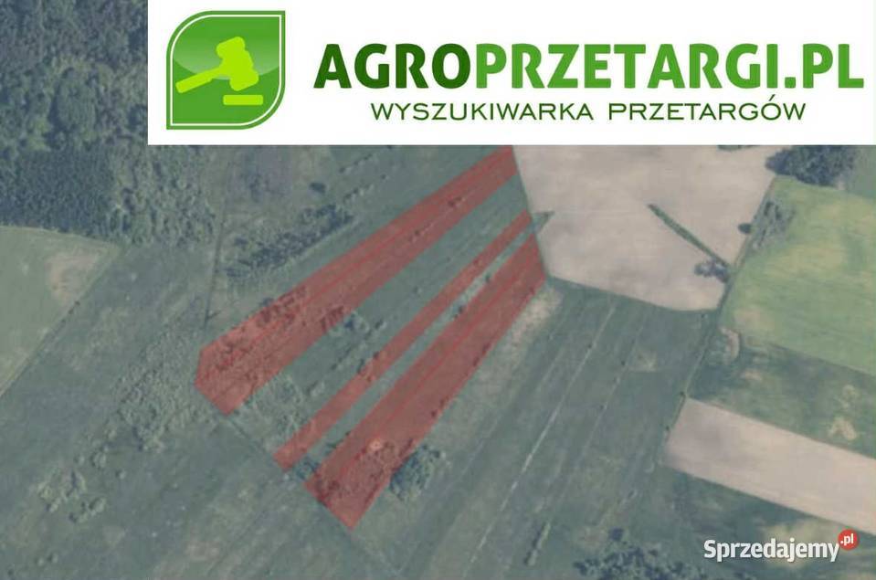 Dzierżawa 1620 ha gruntu rolnego zachodniopomorskie Wałcz