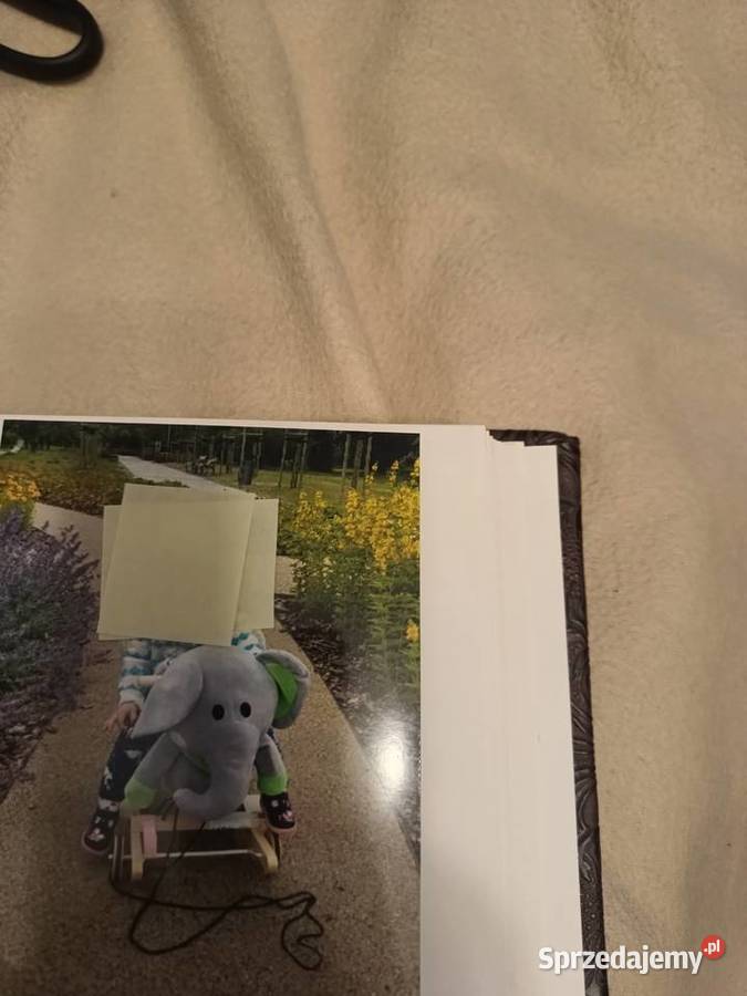 Słonik jeździk słonik na biegunach Poznań