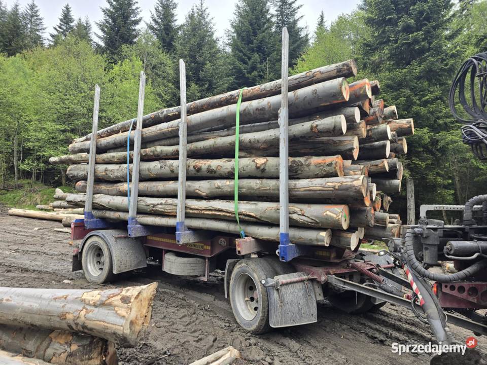 Drewno kominkowe opał buk bukowe śląskie