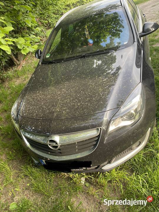 Opel Insignia lubelskie Stoczek Łukowski