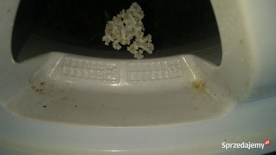 Rajdowe felgi Speedline Renault Clio Williams Wrocław