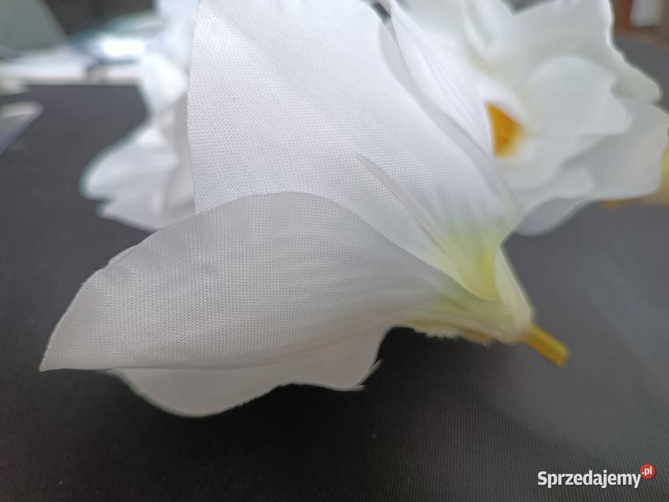 MAGNOLIA MINI VIP 61021 główki wyrobowe białe Siewierz sprzedam