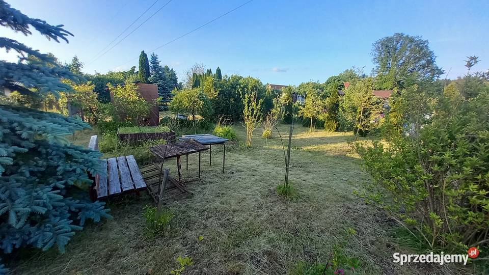 Działka rekreacyjna ROD Słonecznik rekreacyjna Myki