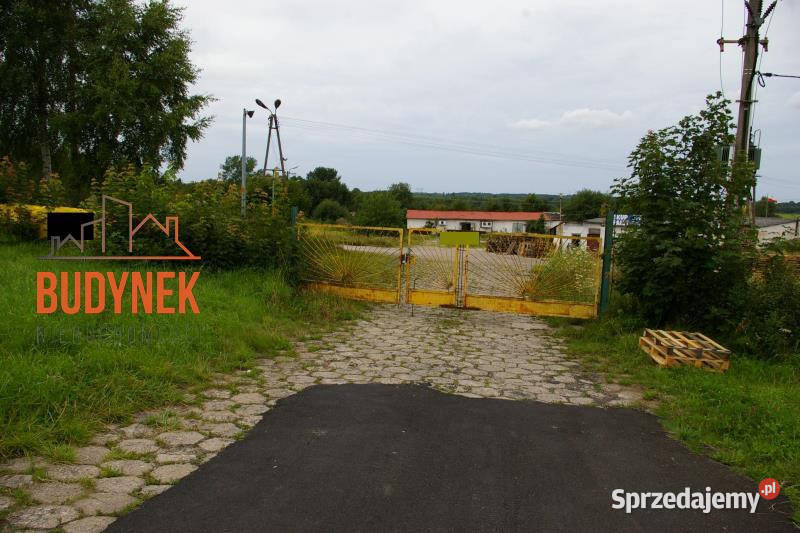 Działka budowlana Pękanino Sprzedaż