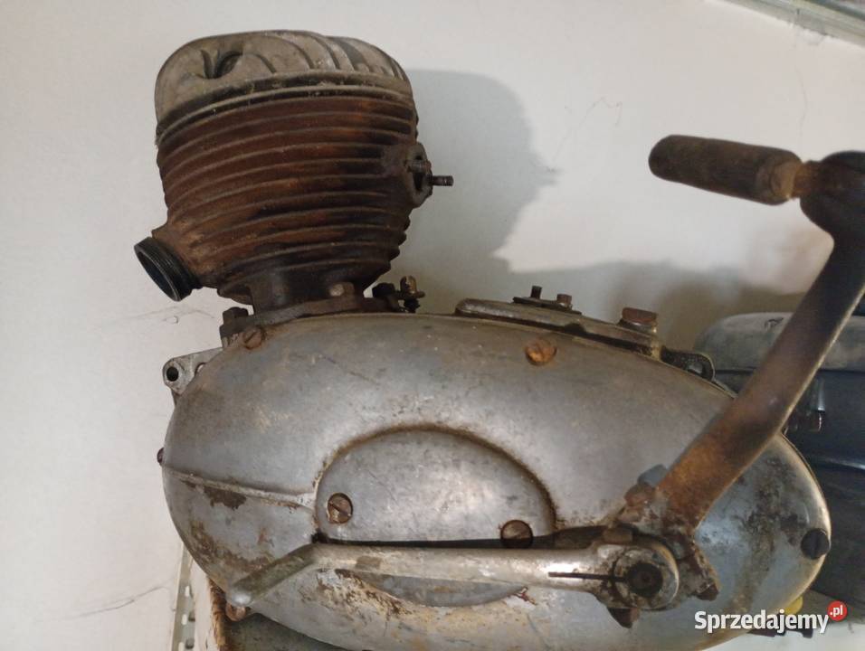 Silnik pannonia Lubliniec