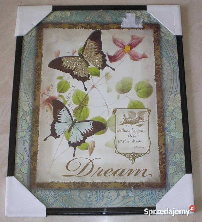 Obraz obrazek reprodukcja szkłem DREAM 20 x 25 Kraków