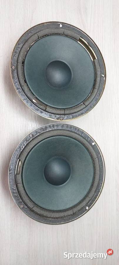 Głośniki Samochodowe Car Audio Uszkodzone Starachowice