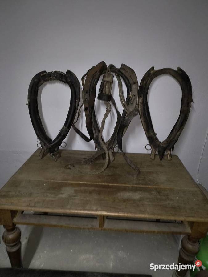 Stare homonto Skarżysko-Kamienna